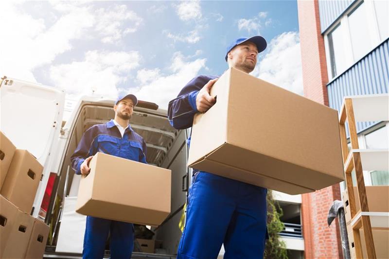 Movers carrying boxes from a van