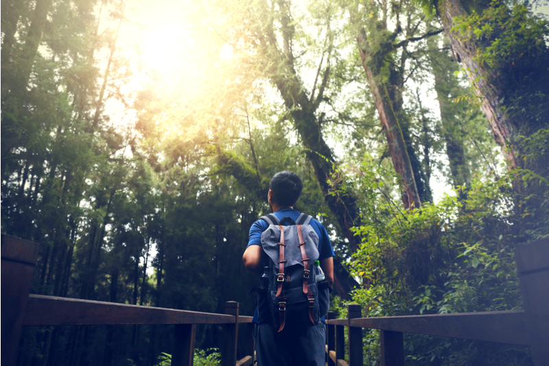 A man hiking in woods